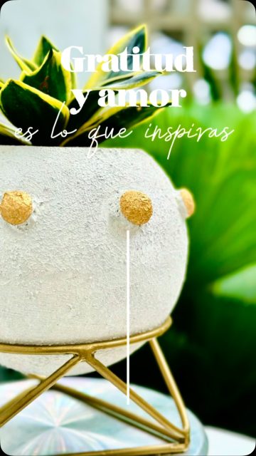 Para ti Madre que mereces lo mejor.  Hemos creado artesanalmente una pieza única, digna de ser convertida en el detalle ideal para esta ocasión.

💟 Mazeta texturizada.
💟 Base metálica
💟 Planta natural 
💟 Caja de regalo.
Valor $135.000

Disponible en nuestra tienda y por mensaje de WhatsApp 3187254302

Estilo Mazeta
Calle 7 No 26-29 
La Gaitana 
Neiva Huila.

#regalomamá #regalosunicos #ᴅɪᴀᴅᴇʟᴀᴍᴀᴅʀᴇ #macetasdeconcreto #macetasdelujo #concret #macetasdecorativas