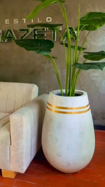 𝐁𝐥𝐚𝐧𝐜𝐨 𝐪𝐮𝐞 𝐢𝐥𝐮𝐦𝐢𝐧𝐚.
𝐃𝐨𝐫𝐚𝐝𝐨 𝐪𝐮𝐞 𝐝𝐞𝐬𝐭𝐚𝐜𝐚 💫 

Elegir una maceta blanca es elegir calma, pureza y equilibrio 🤍
Los toques dorados aportan lujo y sofisticación . 
Juntos definen una estética atemporal que transforma los espacios en experiencias visuales

Porque los detalles también hablan de tu estilo⭐️ 
•	“¿Dónde la pondrías? 👇”

Disponible en nuestra tienda y por mensaje de WhatsApp ⁨3187254302
Estilo Mazeta 
Calle 7 No 26 29 
La Gaitana 
Neiva Huila

#DecoracionDeLujo
#DecoracionElegante
#WhiteAndGold
#BlancoYDorado
#estilosofisticado