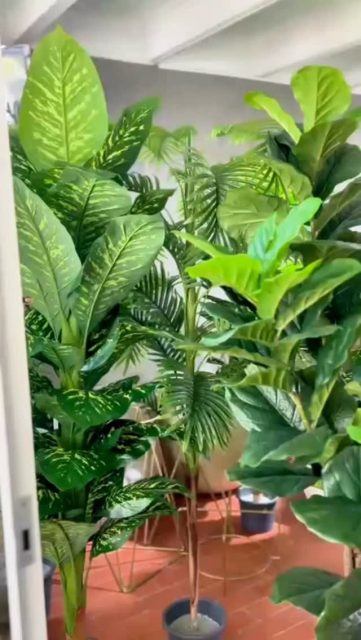 ✨ 𝗗𝗶𝘀𝗲ñ𝗼 𝗾𝘂𝗲 𝘁𝗿𝗮𝗻𝘀𝗳𝗼𝗿𝗺𝗮 𝗲𝘀𝗽𝗮𝗰𝗶𝗼𝘀.

Esta pieza decorativa destaca por su 𝗘𝘀𝘁𝗶𝗹𝗼 𝗺𝗼𝗱𝗲𝗿𝗻𝗼, 𝗰𝗼𝗻 𝗮𝗰𝗲𝗻𝘁𝗼𝘀 𝗴𝗹𝗮𝗺.  La textura vertical en tono claro aporta sofisticación y ligereza visual, mientras que el acabado dorado superior eleva la pieza con un toque elegante y refinado; Ideal para elevar cualquier ambiente con un toque contemporáneo y exclusivo.

Perfecta para salas, dormitorios, recibidores, oficinas y terrazas convirtiéndose en el punto focal del espacio sin perder armonía.

🤍 Diseño atemporal
✨ Elegancia 
🏡 Versatilidad

Disponible en nuestra tienda y por mensaje de WhatsApp ⁨3187254302
Estilo Mazeta 
Calle 7 No 26 29 
La Gaitana 
Neiva Huila

#EstiloModerno #GlamDecor #InteriorDesign #diseñocontemporáneo 
#DecoraciónPremium